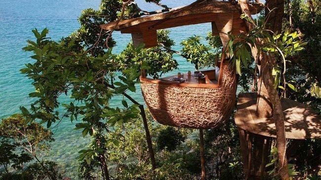Bird’s Nest, Таиланд
