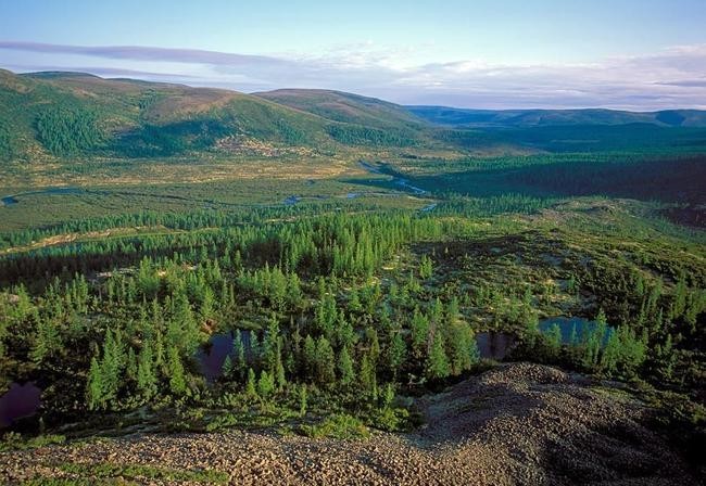 Самая большая тайга