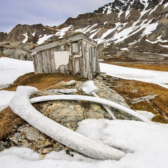 14. Хижина китобоев (Свальбард, Норвегия)