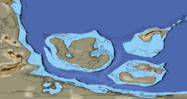 Двинская губа, Архангельская область. 555 млн лет назад, эдиакарий (венд)
