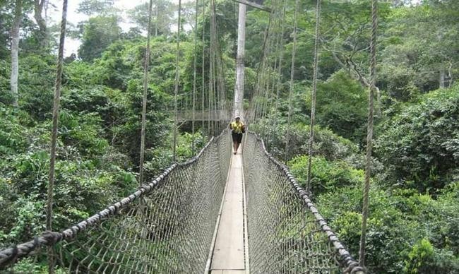 Мост Canopy Walk, Гана