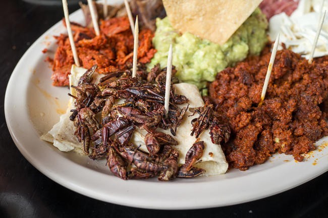 3. Chapulines, Мексика