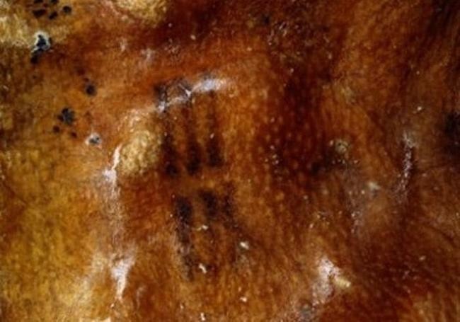 8. Доисторические татуировки