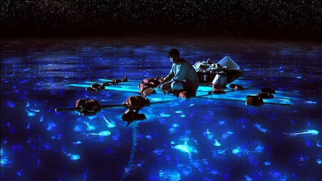 Жизнь Пи / Life of Pi (2012)