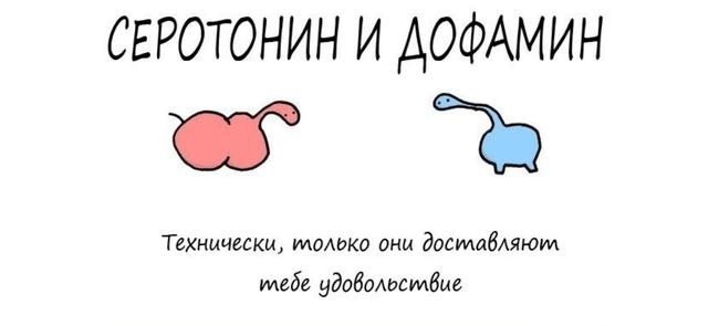Дофамин и серотонин - две стороны одной медали