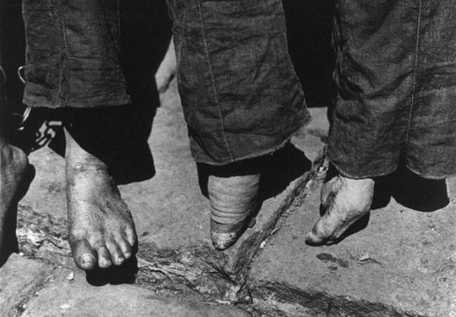 9. «Лотосы» оставались в моде до начала 1900-х годов
