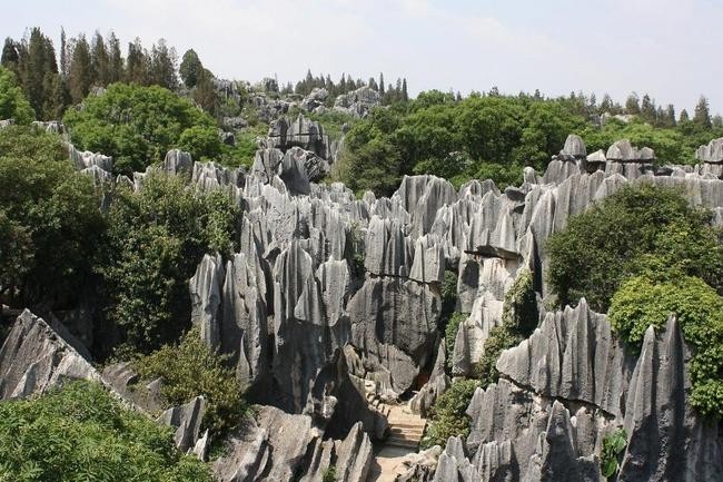 Каменный лес Юньнань
