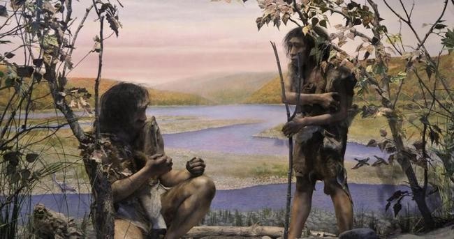 Насколько умным был Homo erectus?