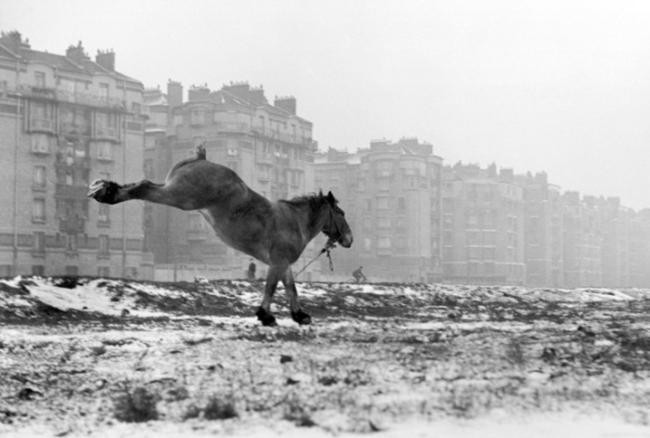 1. Сабина Вайс (Sabine Weiss)