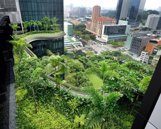 Отель Parkroyal