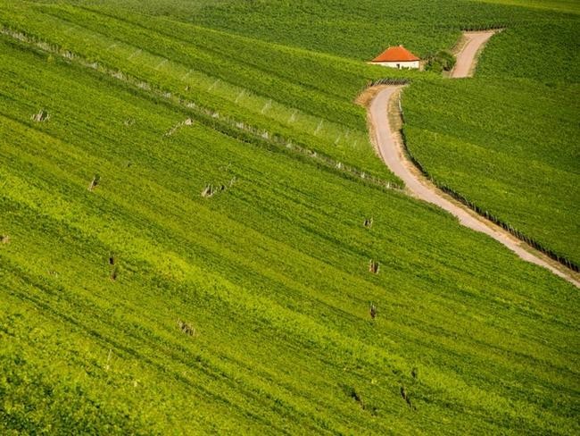 Волкач, Бавария