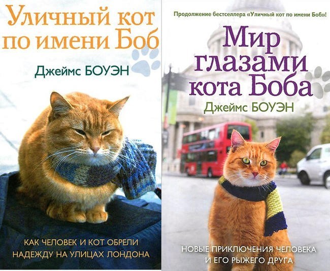 Джеймс Боуэн “Уличный кот по имени Боб” и “Мир глазами кота Боба”