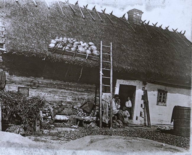 1. Крестьянский дом