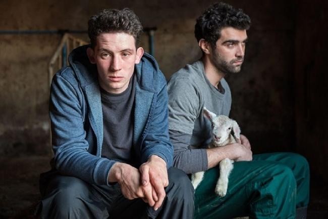 Божья земля / God’s Own Country