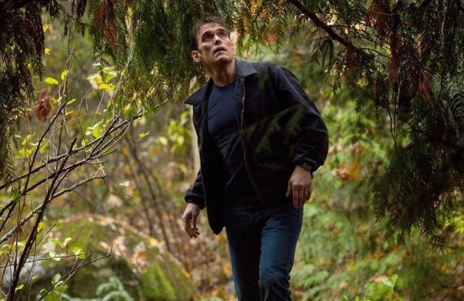Сосны / Wayward Pines