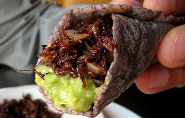 Чапулинес, муравьиные яйца и черви, Мексика