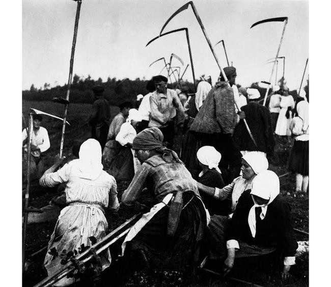 11. Сбор урожая