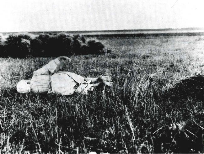 12. Рязанская губерния, 1914 год