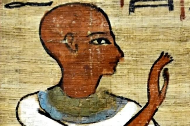 9. Мертвые мыши для лечения зубной боли