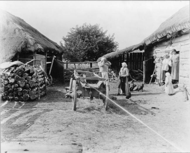 5. Заготовка дров сельскими жителями