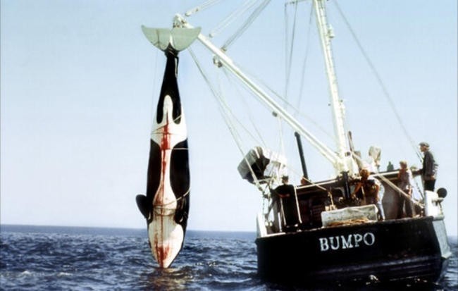 "Смерть среди айсбергов" (Orca, the Killer Whale, 1977 г.)