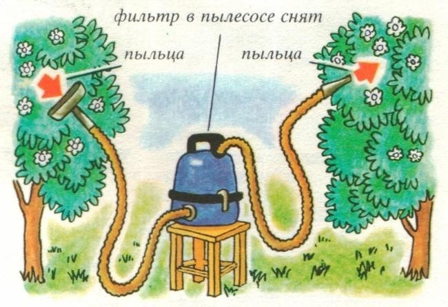 6. Пылесос на вооружении умельцев
