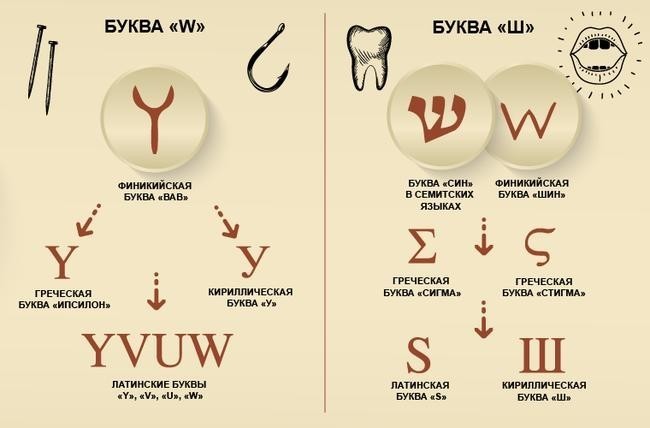 W и «Ш»