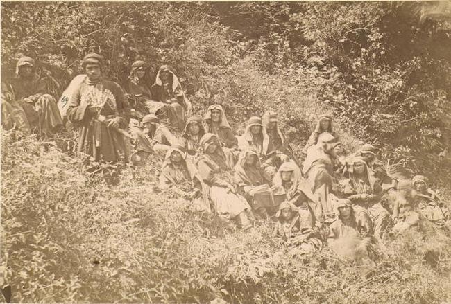 5. Пашвы