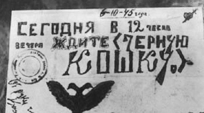 Девять жизней «Чёрной кошки»: почему сыщикам не удавалось напасть на след банды Митина