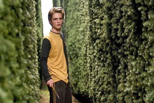 Гарри Поттер и Кубок огня / Harry Potter and the Goblet of Fire (2005)