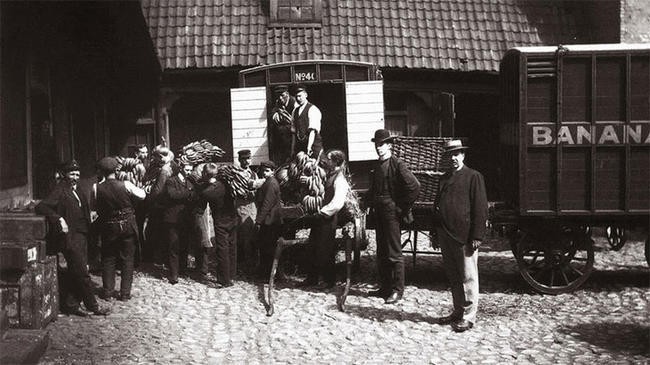 Первые бананы в Норвегии, 1905 г.