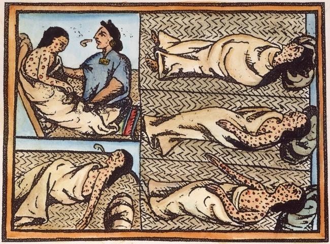 Конкистадоры, сами того не зная, начали биологическую войну