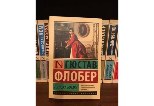 Гюстав Флобер, «Госпожа Бовари»