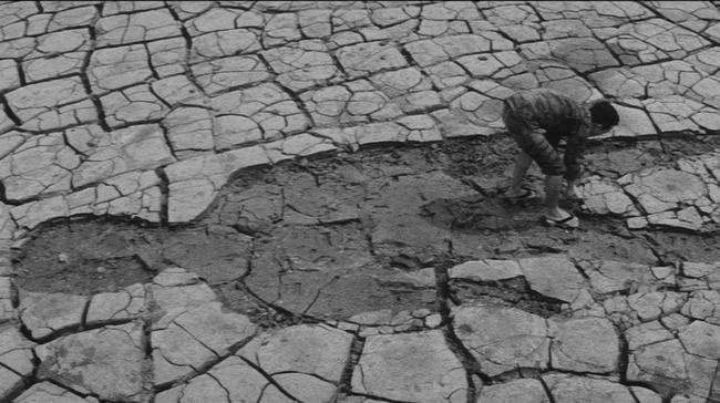 Лето в Японии: двойное самоубийство / Muri shinju: Nihon no natsu (1967, Япония)