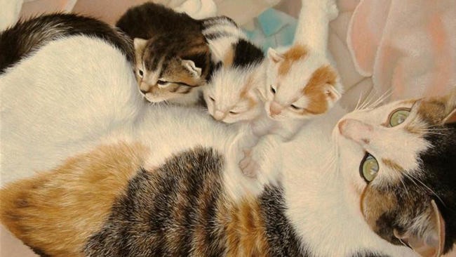Ласка и кот