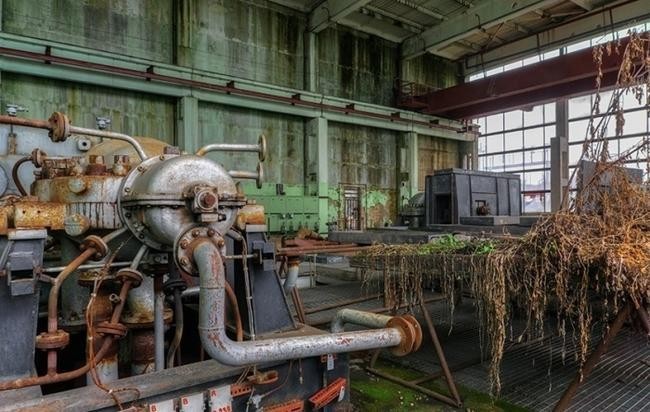 3. Химический комбинат «Синтвита»