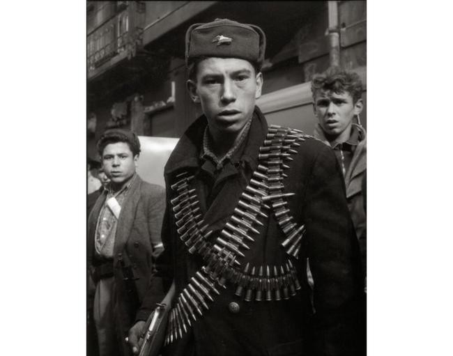 9. Участник венгерского восстания