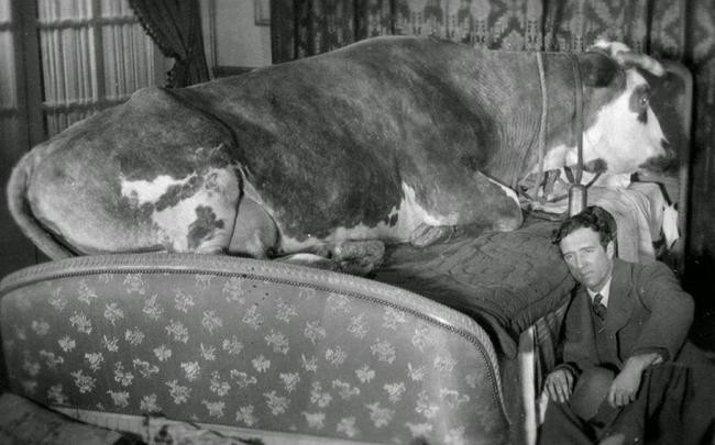 2. Золотой век. Режиссер Луис Бунюэль, 1930