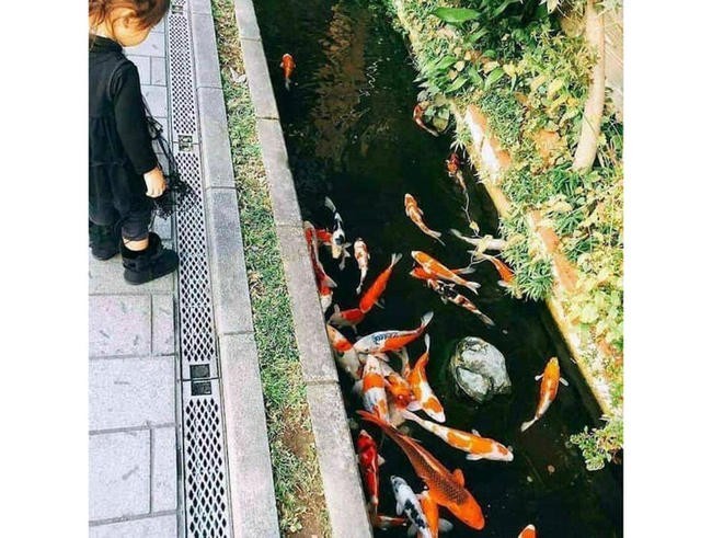 9. Сточные воды
