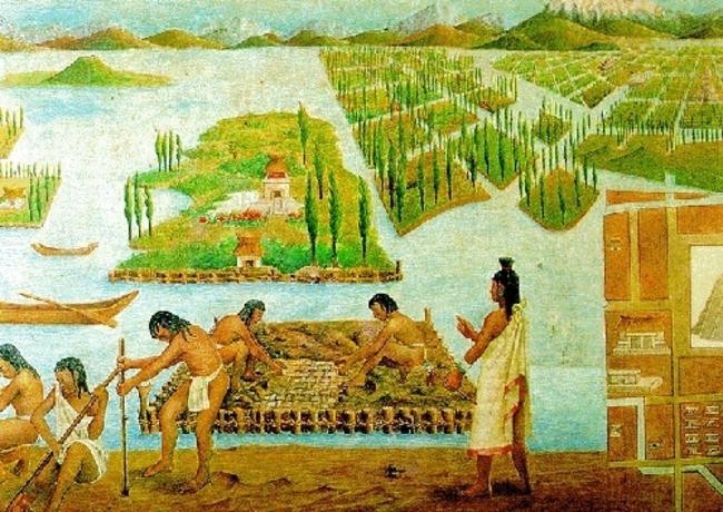 10. Продвинутое устойчивое сельское хозяйство