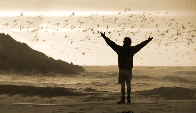 18. В диких условиях / Into The Wild (2007)