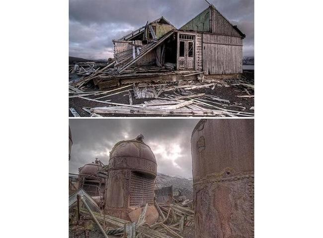 Бухта китобоев