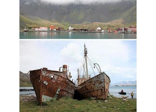 Гавань Грютвикен, Южная Георгия