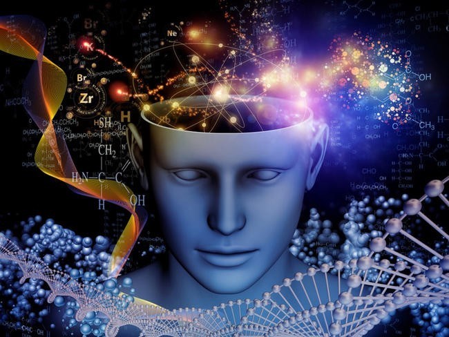 Мозг. Тайны сознания / The Brain. A Secret History (2010)