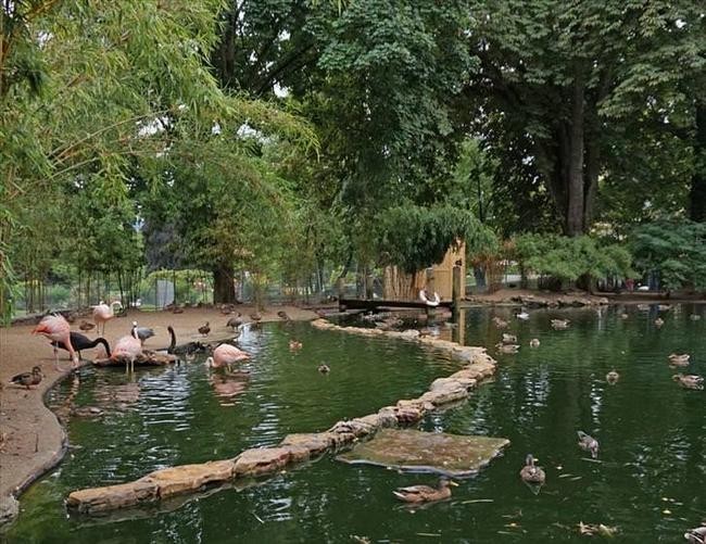Ботанический сад Женевы, Швейцария