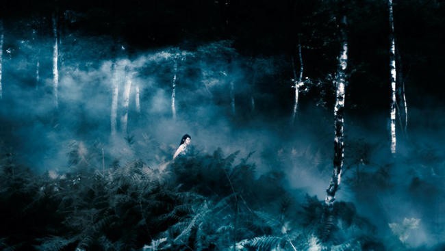 12. Антихрист / Antichrist (2009)