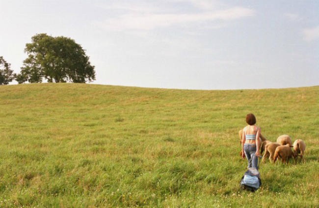 Перевертыши / Palindromes (2004)