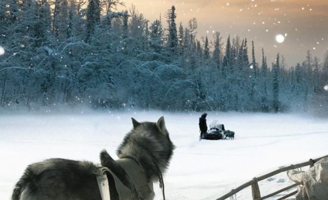 Счастливые люди: Год в тайге / Happy People: A Year in the Taiga