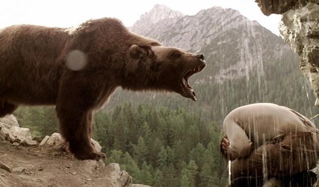 Медведь / L’ours