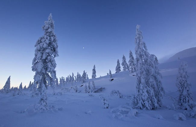 Полюс холода (Россия)